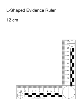 free printable rulers for students