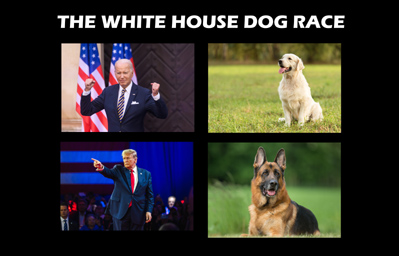 Biden and Trump with their Dog Types
